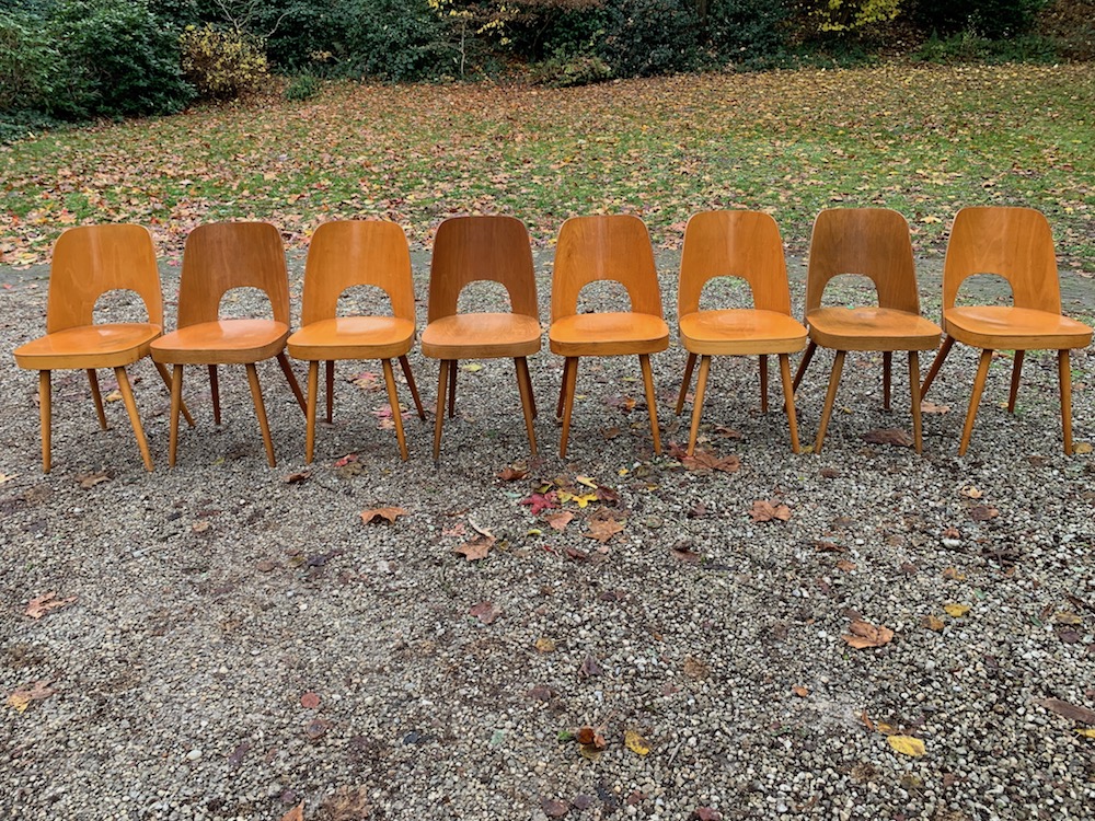 vintage chairs, oswald haerdtl, european design, vintage furniture, dining chairs, vintage dining chairs, wooden chairs, wooden dining chairs, Thonet
