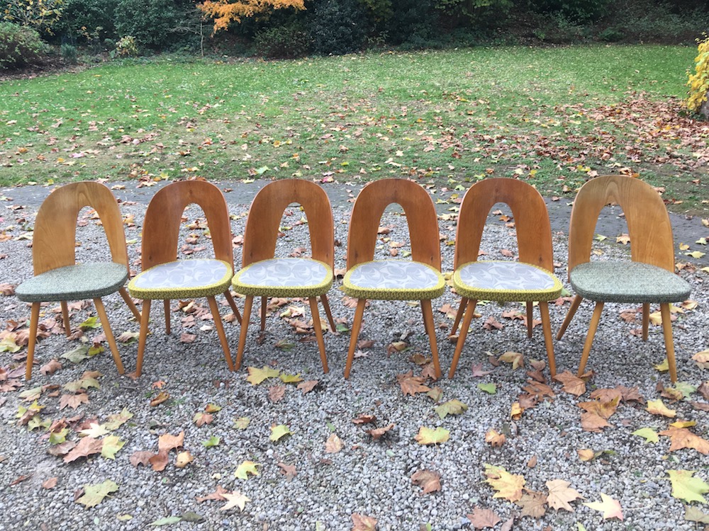 Antonin Suman vintage chairs for Tatra