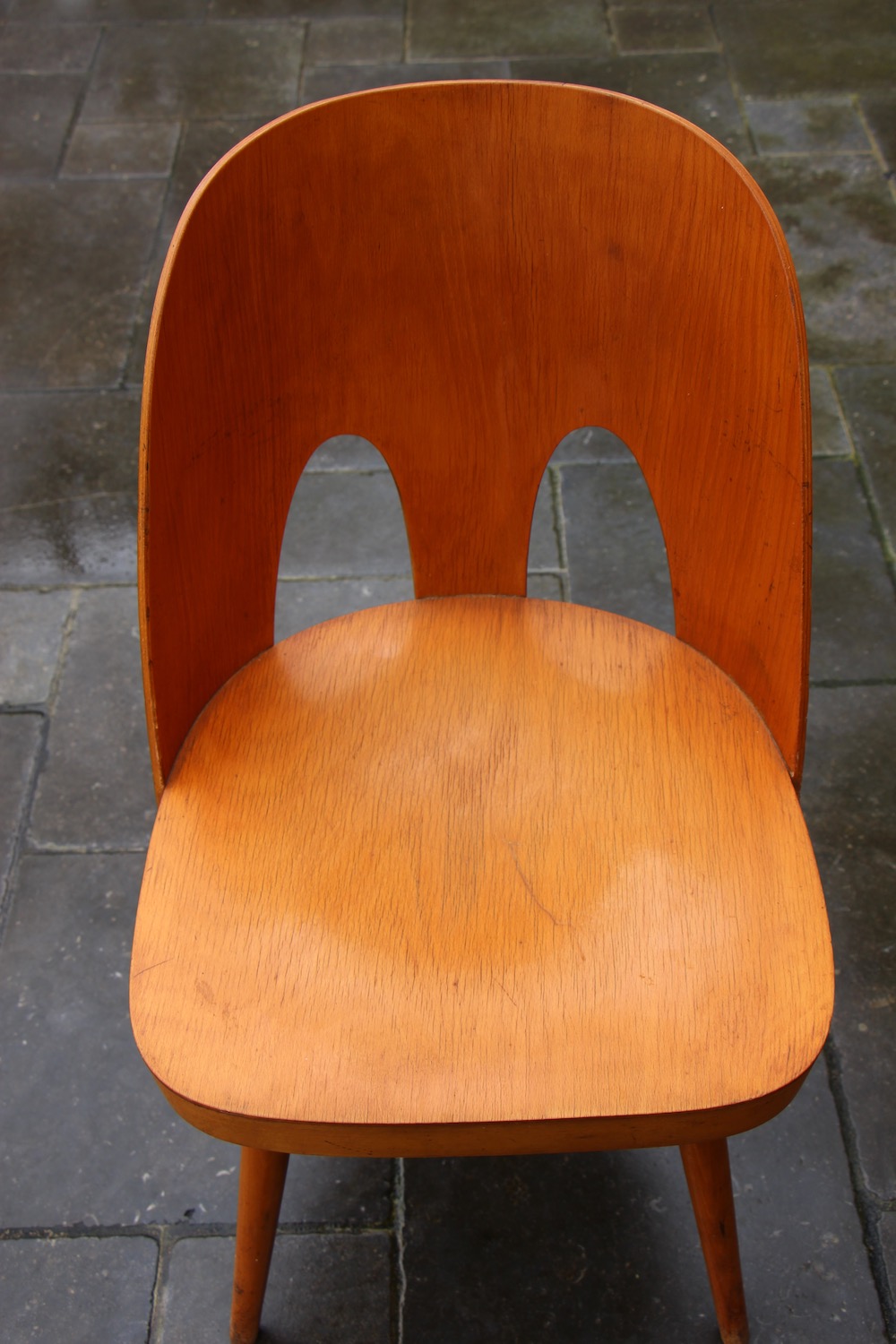 vintage Oswald Haerdtl chairs, for Ton