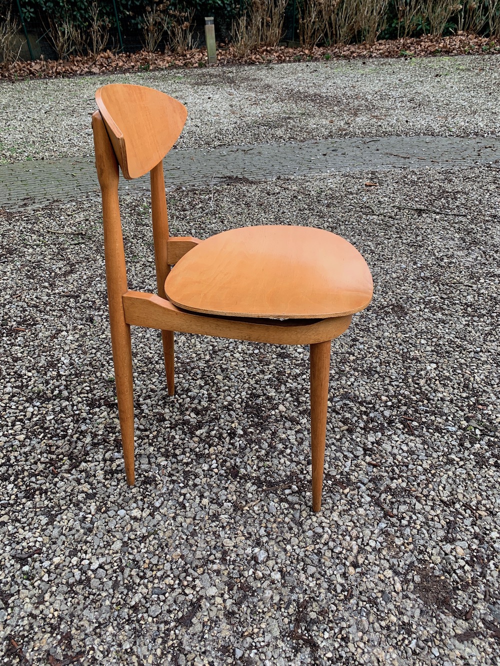 Pierre Guariche chairs, dining chairs, vintage dining chairs, wooden vintage chairs, vintage chairs, wooden chairs, midmod, midcentturymodern design, design chairs, chaises vintage, chaises à diner, interior decoration, chaises bois, chaises salle à mange